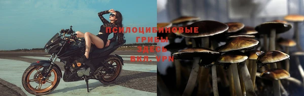 ГАЛЛЮЦИНОГЕННЫЕ ГРИБЫ Карпинск