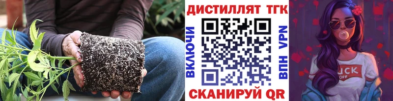 ТГК жижа  Венёв 